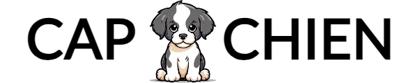 Cap Chien